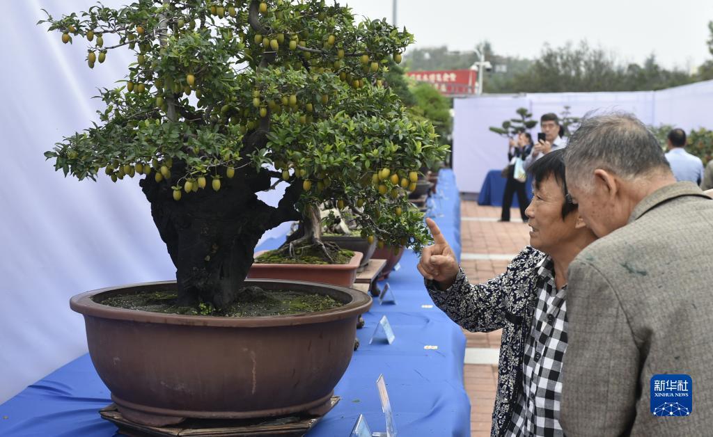 久赢论坛网址